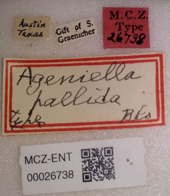 Media type: image;   Entomology 26738 Aspect: labels